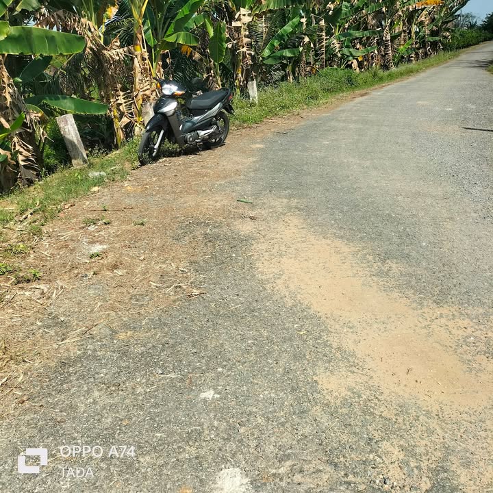 Đất nông nghiệp 11 công Hòa Tịnh, Mang Thít, Vĩnh Long giá 4.8 tỷ - Đầu tư tiềm năng ngay hôm nay!