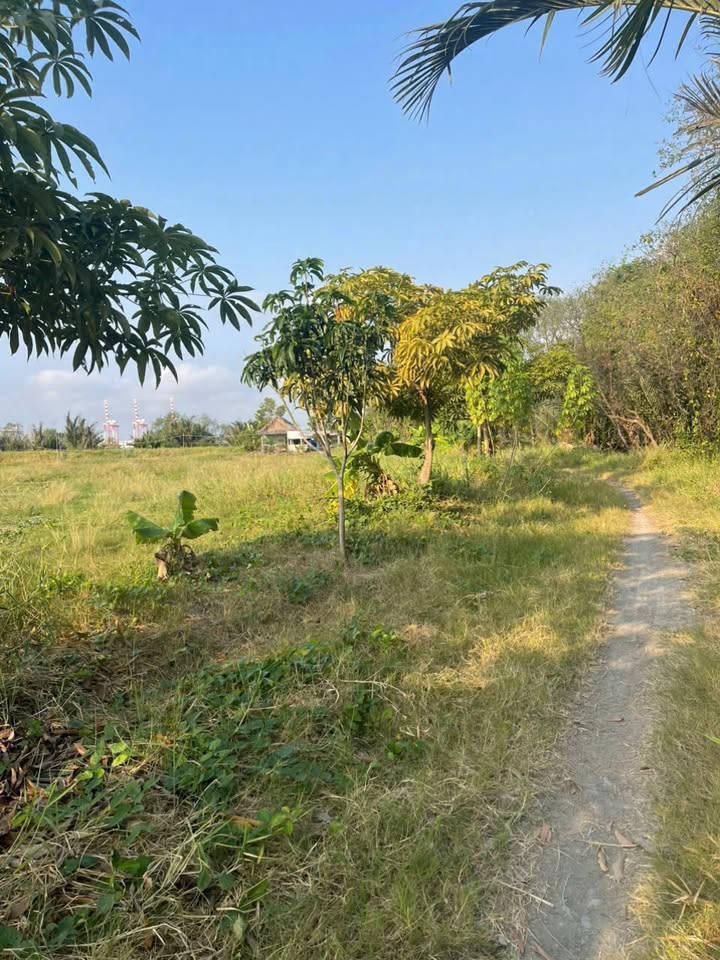 Đất nền 2000m² xã Lý Nhơn, Cần Giờ - Giá chỉ 5 tỷ, cơ hội đầu tư tuyệt vời!