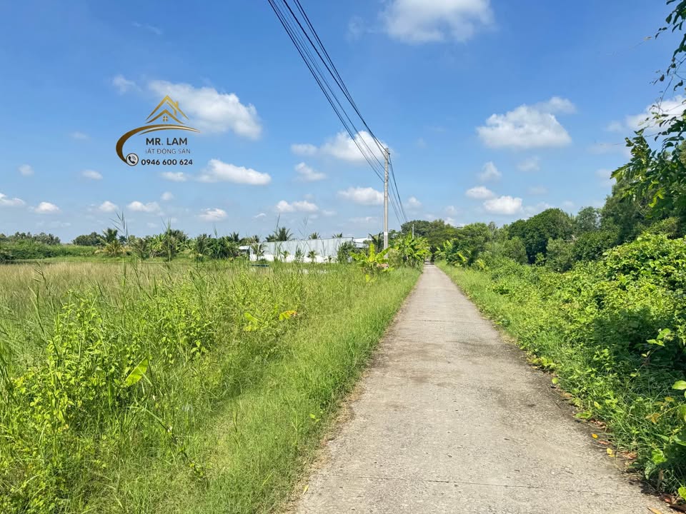 Đất nền Tân Xuyên Cà Mau 310m² giá chỉ 480 triệu - Sổ hồng riêng, thuận lợi cho mọi nhu cầu!