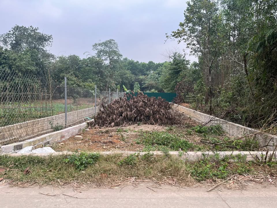 Đất thổ cư 100m² Bình Yên Thạch Thất - Vị trí tiềm năng siêu đẹp!