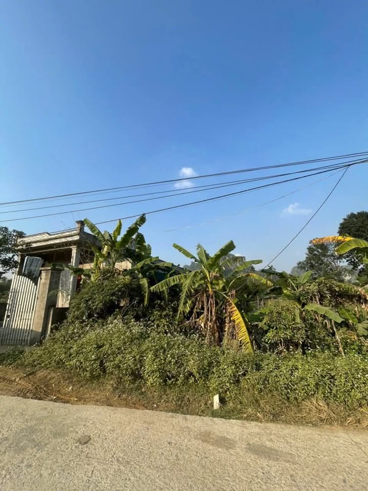 Đất nền 100m² tại Nho Quan, Gia Lâm chỉ 600 triệu - Đường ô tô thông suốt!