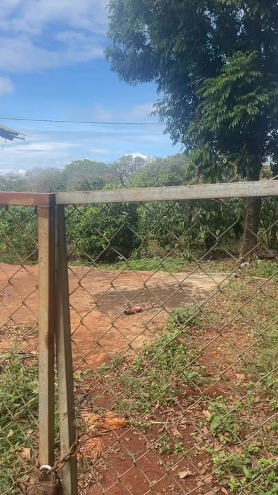 Đất 2 sào 8000m² tại Ia Pnôn, Đức Cơ - Giá chỉ từ 500 triệu!