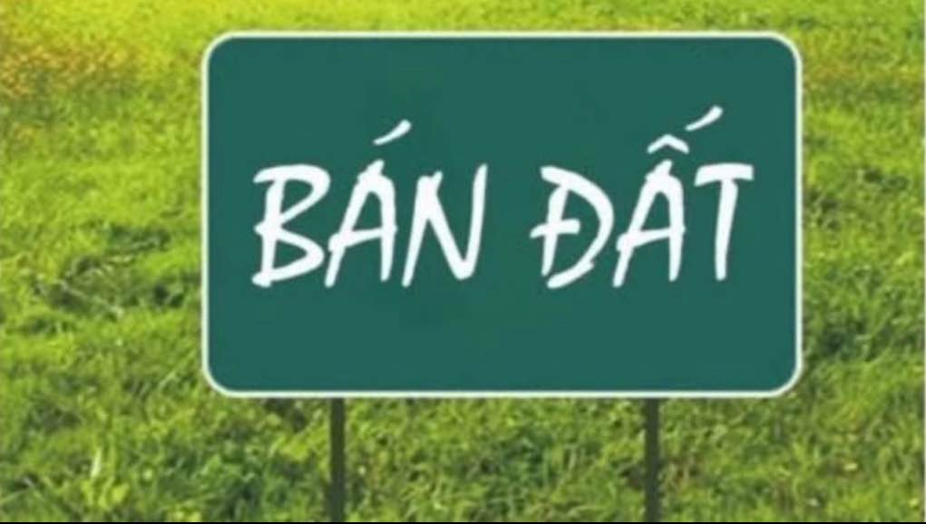 Đất nền mặt đường Đồng Quýt, Nam Định 72m² giá chỉ 2.xxx triệu - Cơ hội đầu tư tuyệt vời!