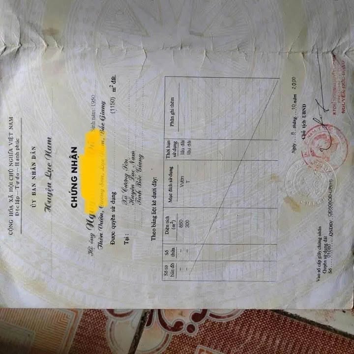 Đất vườn Cương Sơn Lục Nam 1150m² giá 130 triệu - Cơ hội đầu tư tuyệt vời!