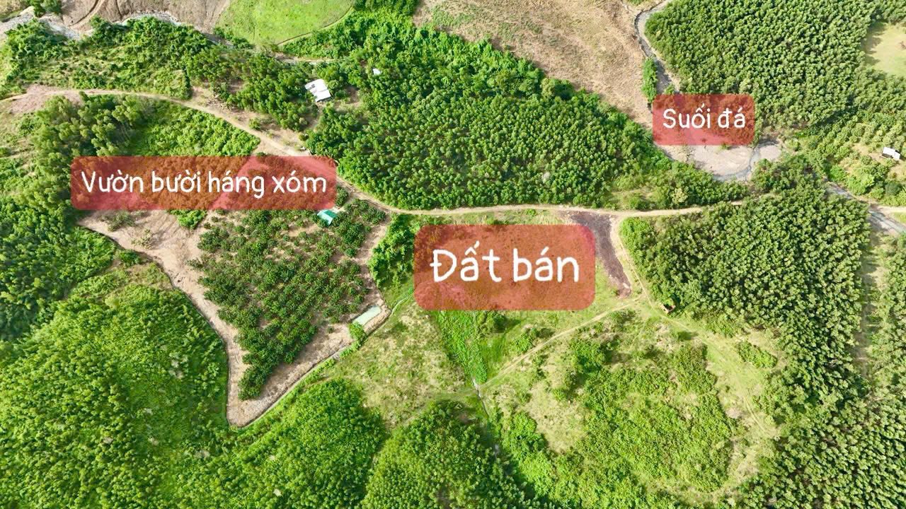 Đất thổ cư Khánh Vĩnh 575m² giá 220 triệu - Sổ đỏ chính chủ, gần biển Nha Trang!