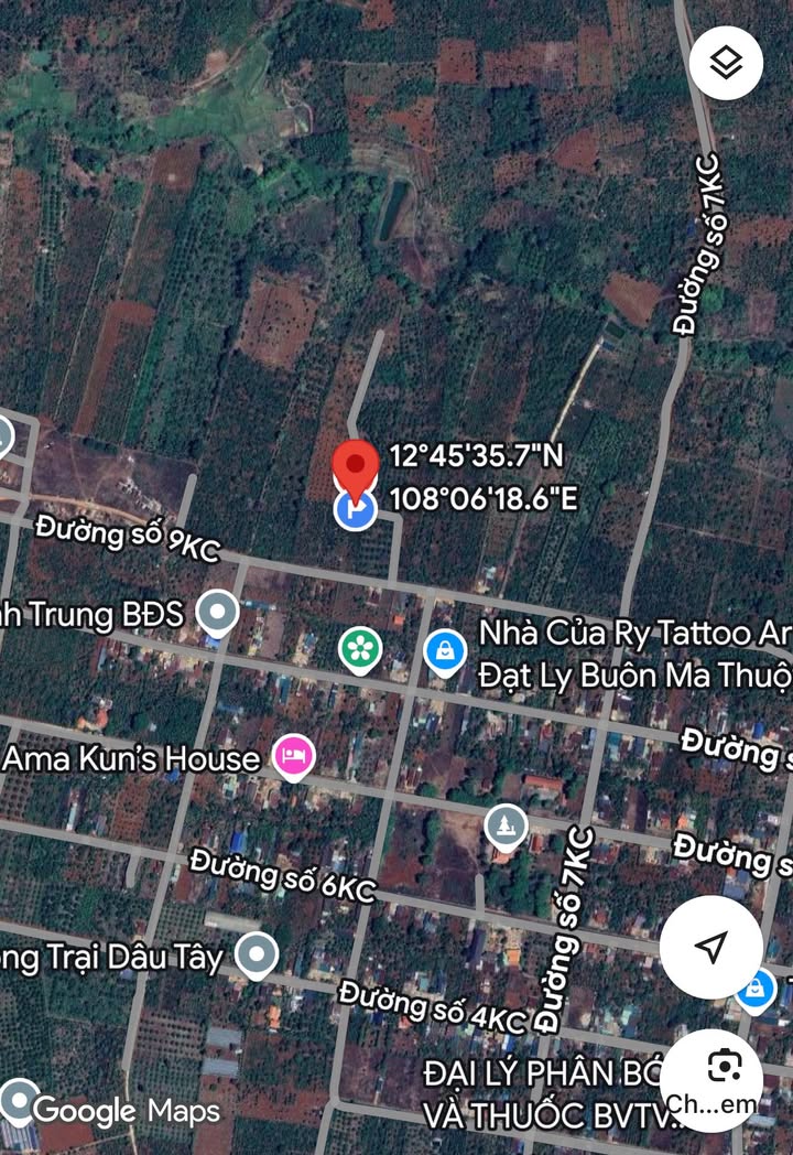 Đất trồng cây lâu năm Hòa Thuận 1.339,8m² giá 1,4 tỷ - Đầu tư sinh lời ngay!