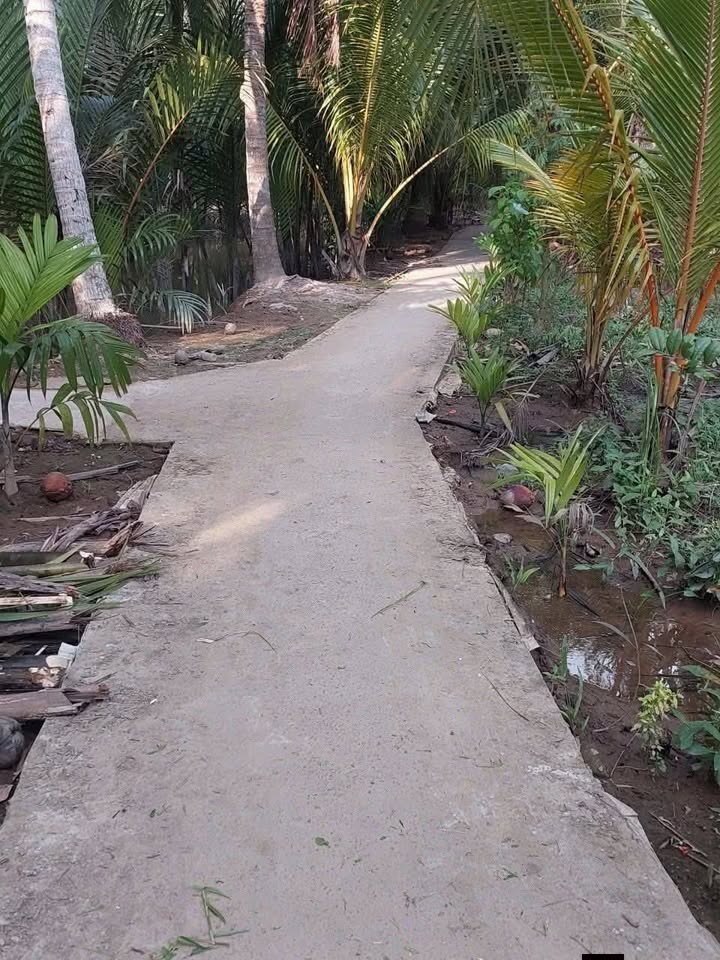 Đất nền Giồng Trôm 359m² giá 300 triệu - Cơ hội đầu tư tuyệt vời!