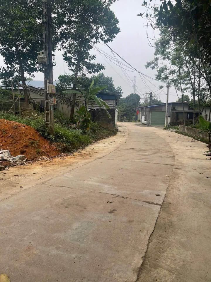 Đất Thổ Cư Phường Thịnh Đán 240m² giá 1.2 tỷ - Vị trí đắc địa, tiềm năng sinh lời cao!