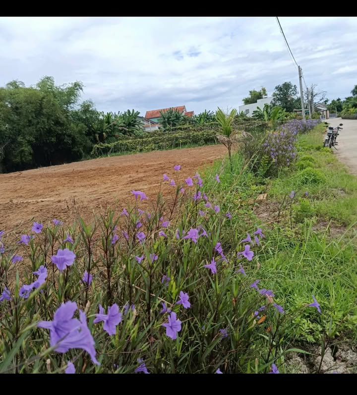 Đất nền Quế Xuân 2 230m² giá 700 triệu - Đường thông ô tô tận nơi!