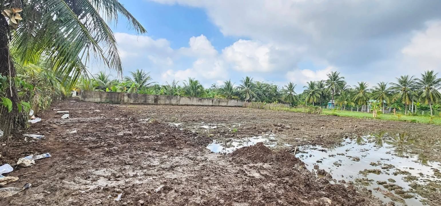 Đất nền thổ cư 80m² tại Trung An, Mỹ Tho - Giá chỉ 4xx triệu!