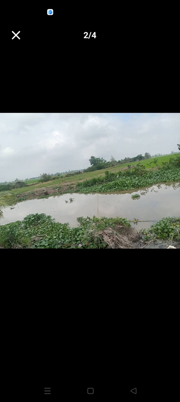 Đất Lúa 3.800m² Xã Mong Thọ A Châu Thành - Mặt Tiền Rộng, Giá Tốt!