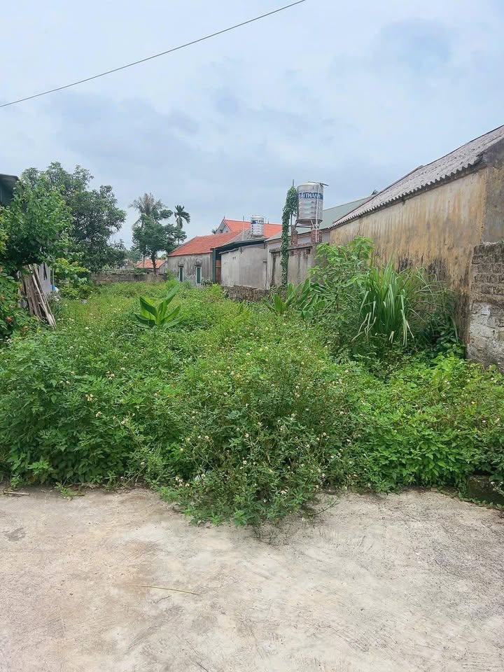 Đất thổ cư Đức Chính Đông Triều 359m² giá 1 tỷ - Đường ô tô vào thoải mái!