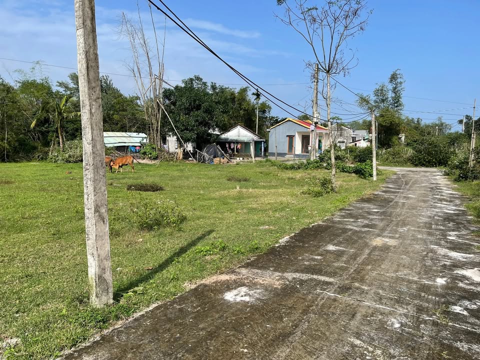 Đất thổ cư 450m² thôn Bình Trúc, Thăng Bình 2 tỷ - Gần khu công nghiệp Bình Nam