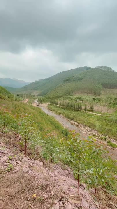 Đất Farm 11ha An Sinh Đông Triều Quảng Ninh - Tiềm năng phát triển du lịch sinh thái!