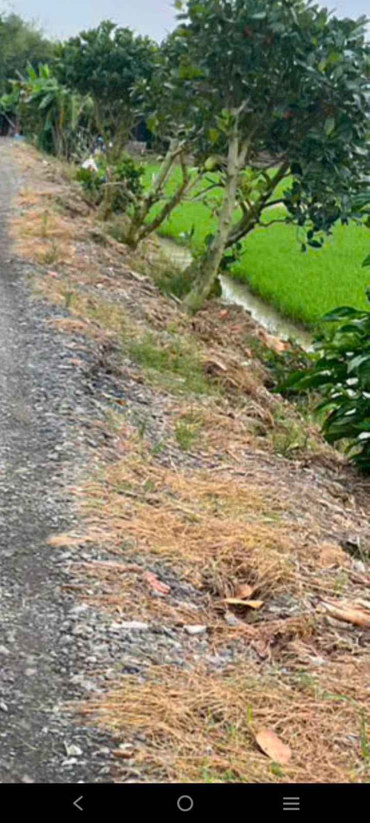 Đất nền 9000m² tại phường Thịnh Cao Lãnh, Đồng Tháp - Giá chỉ 1.206 tỷ, sẵn sàng xây dựng!