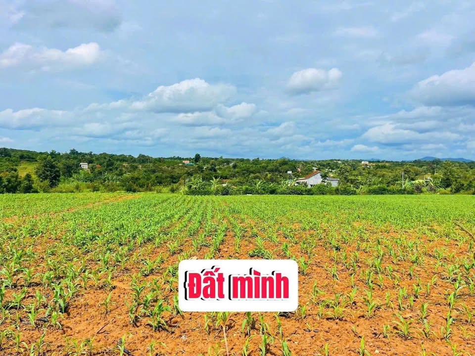 Đất vườn Ea Kar 3439m² giá chỉ 599 triệu - Đầu tư sinh lời ngay!