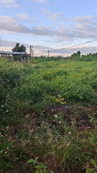 Đất nền thôn 3, xã Ea M'nang 2200m² giá 800 triệu - Tiện ích đầy đủ, đầu tư sinh lời!