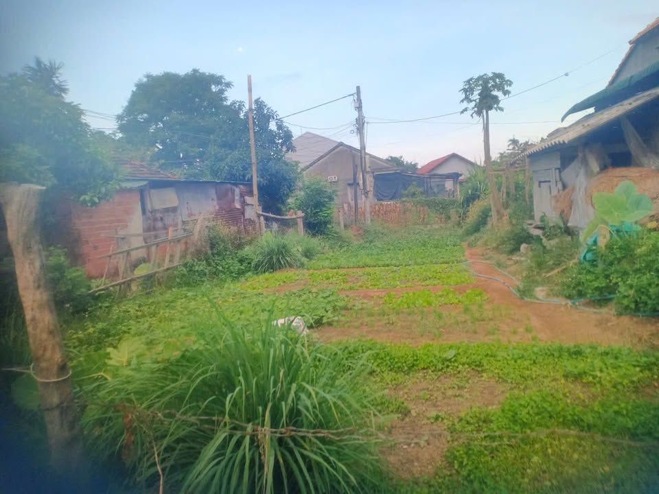 Lô đất Tịnh Long Quảng Ngãi 134m² giá 700 triệu - Đầu tư sinh lời ngay!