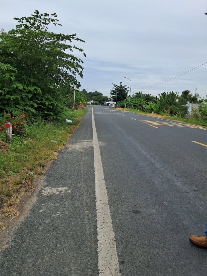 Đất nền mặt tiền Quốc lộ 30, xã Thanh Bình, 130m² giá chỉ 1.4 tỷ - Cơ hội đầu tư hấp dẫn!