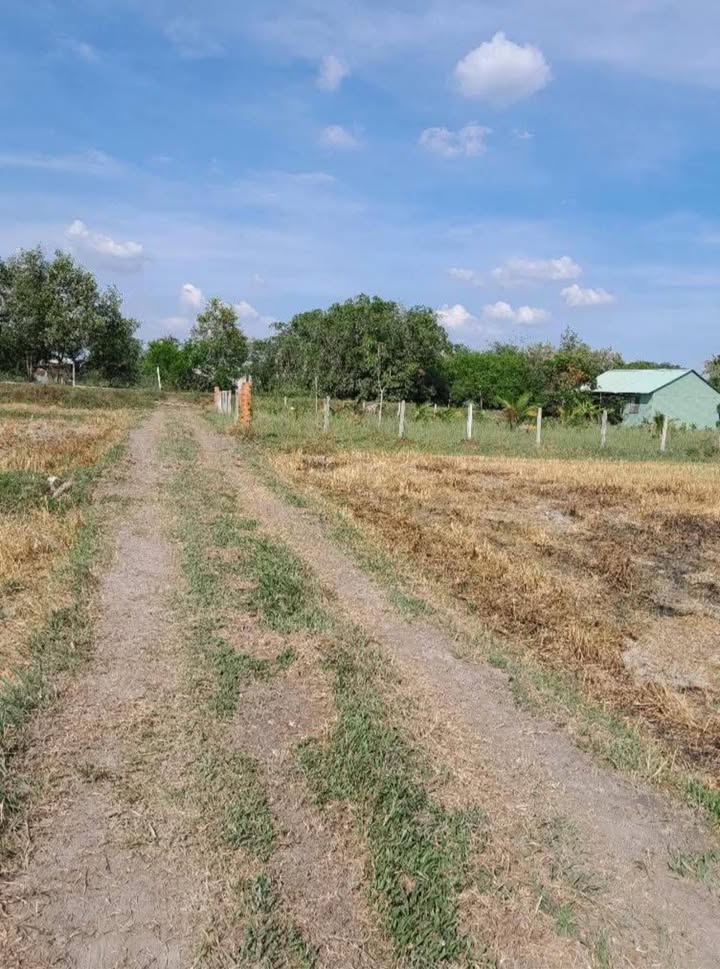 Đất nền 7.5 công tại Thanh Điền, Châu Thành, Tây Ninh - Giá chỉ 1.2 tỷ VND!