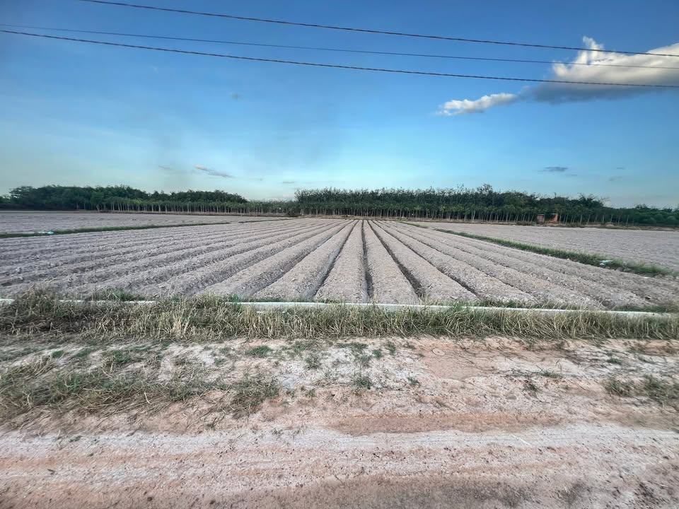 Đất vườn Suối Dộp, Thái Bình, 1270m² chỉ 299 triệu - Cơ hội đầu tư hấp dẫn!