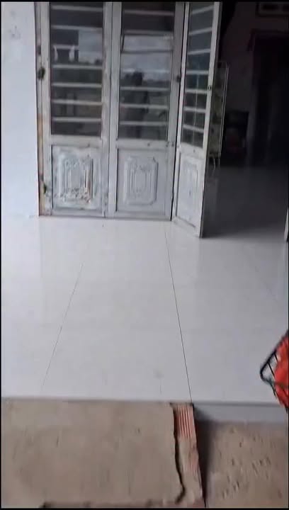 Đất nền Tân Phong, Tân Biên 256m² giá 450 triệu - Cơ hội đầu tư tuyệt vời!