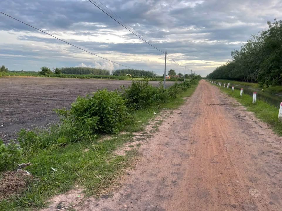 Đất nền 1 công tại Dương Minh Châu, Tây Ninh chỉ 390 triệu - Đầu tư sinh lời ngay!