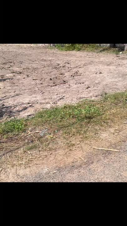 Đất thổ cư 540m² tại chợ Long Vĩnh, Bến Cầu chỉ 370 triệu - Cơ hội đầu tư tuyệt vời!