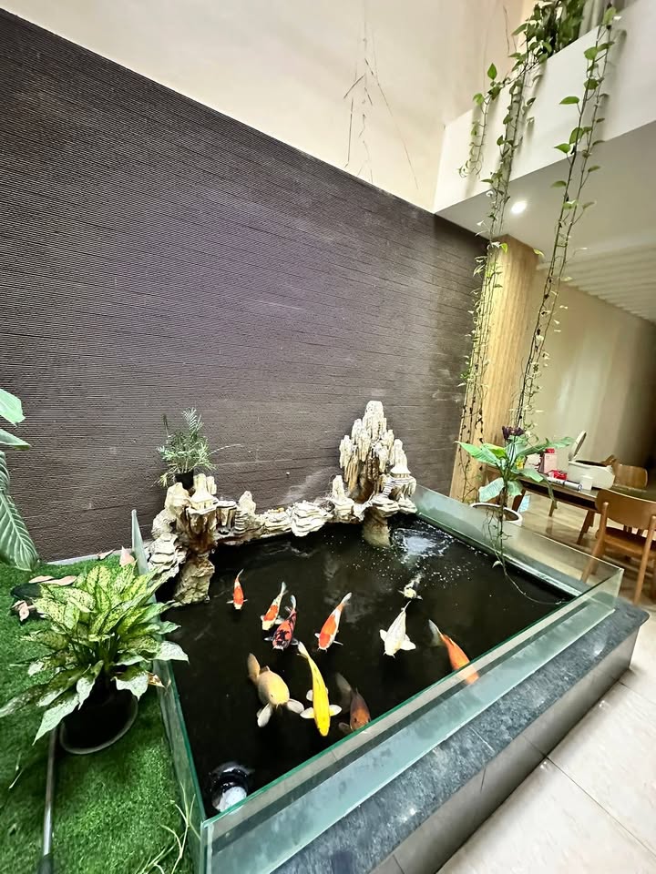 Nhà riêng khu phố Cao Lâm, Đình Bảng, 186m² giá 20 tỷ - Thiết kế đẹp, sẵn sàng ở ngay!