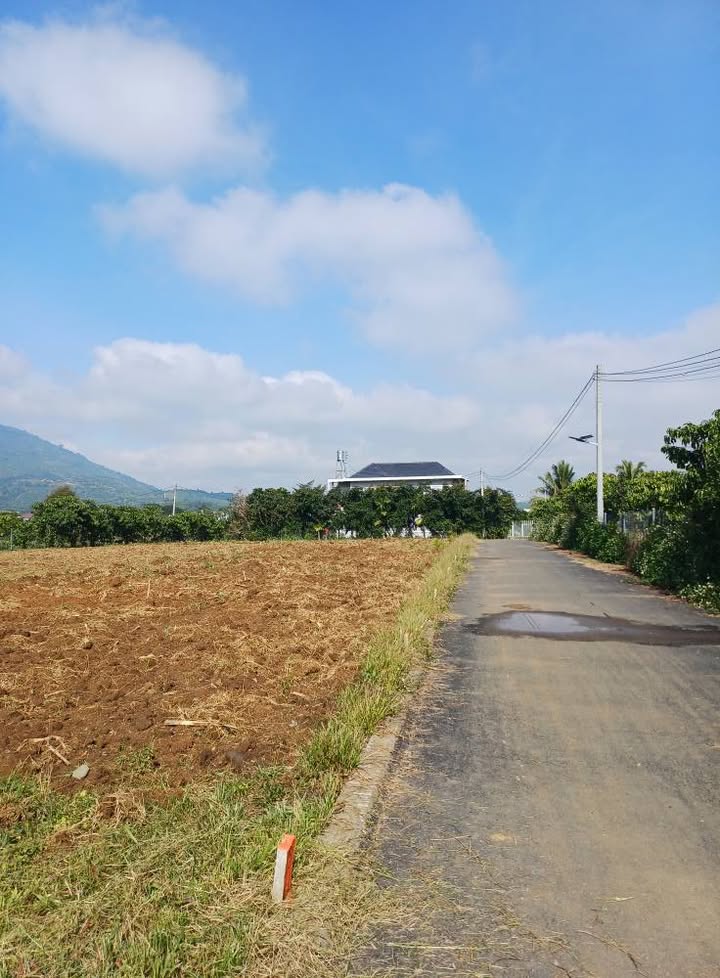 Đất thổ cư 150m² thôn 13 Lộc Thành giá 700 triệu - Cơ hội đầu tư lý tưởng!