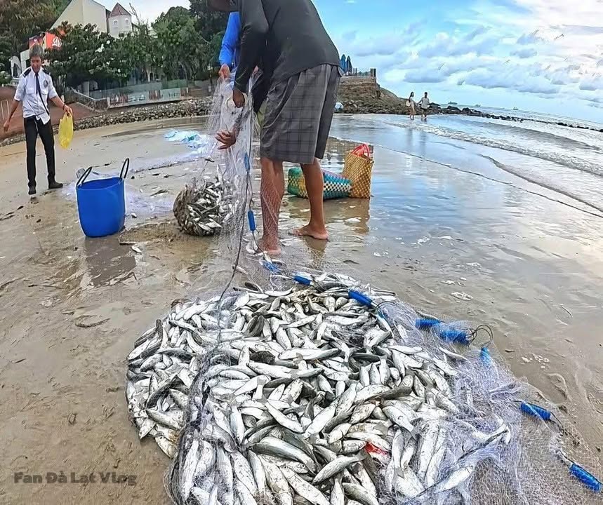 Đất nền Long Mỹ Đất Đỏ 14,000m² giá 35 tỷ - Sổ đỏ chính chủ!