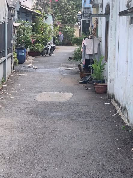 Nhà gác lửng Thủ Đức 62m² giá 3 tỷ - Chính chủ bán gấp!