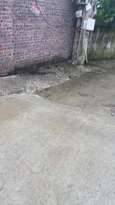 Đất nền Yên Bình Thạch Thất 3000m² - Pháp lý rõ ràng, giá thỏa thuận!