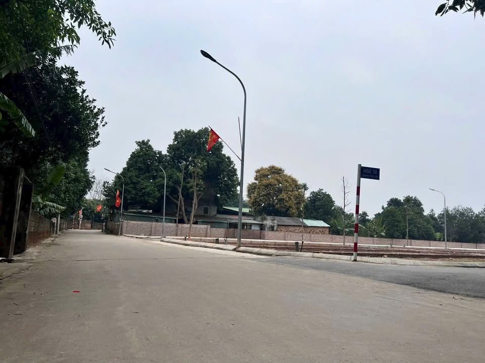 Đất nền chính chủ 60m² tại Cổ Đông - Giá thỏa thuận - Đường thông ô tô tránh