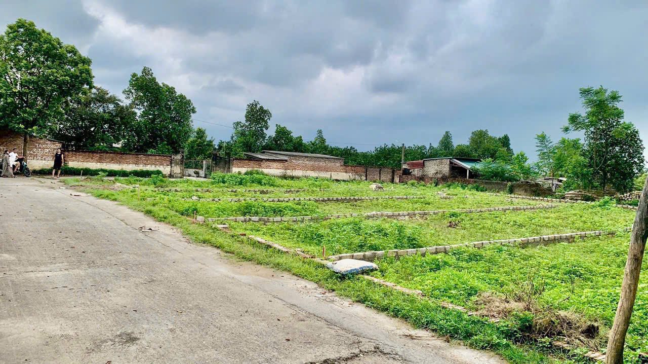 Đất thổ cư Danh Thắng Hiệp Hòa Bắc Giang 100m² chỉ 1 tỷ - Đầu tư lý tưởng!