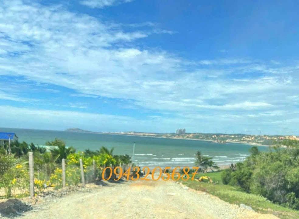 Đất nền mặt biển Hòa Thắng - Bắc Bình 1000m² giá 12 triệu/m - Cơ hội đầu tư hấp dẫn!