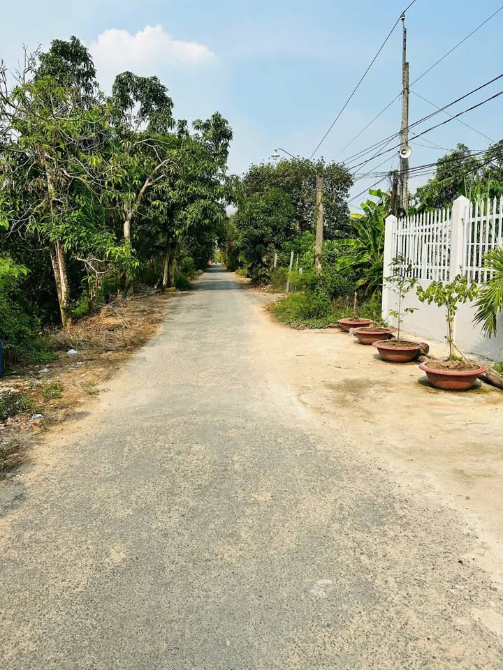 Nhà cấp IV tại phường Mỹ Ngãi, Đồng Tháp 292.5m² giá 2 tỷ - Cơ hội đầu tư tuyệt vời!