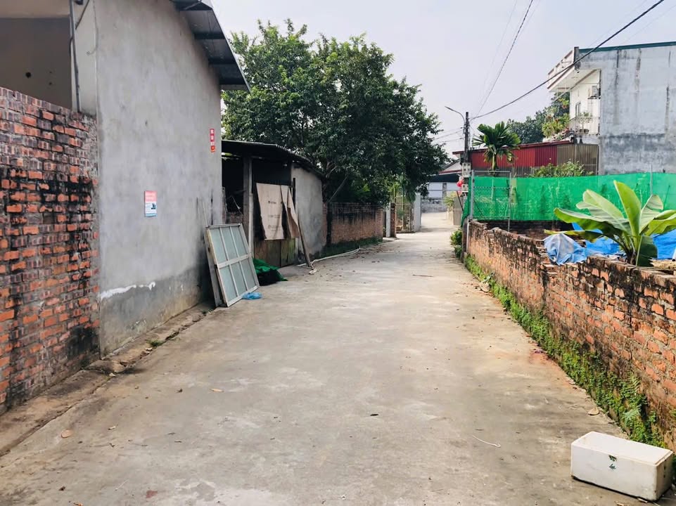 Đất nền Hương Trầm, Việt Trì 99m² giá 2.4 tỷ - Đầu tư sinh lời ngay!