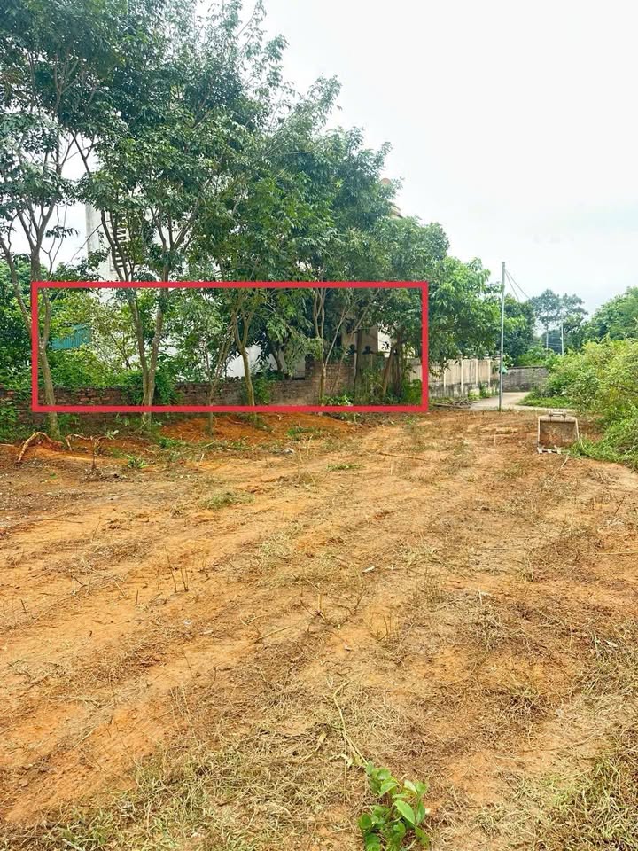 Đất thổ cư 118,4m² khu Phượng Lâu, Việt Trì - Đầu tư sinh lời tuyệt vời!