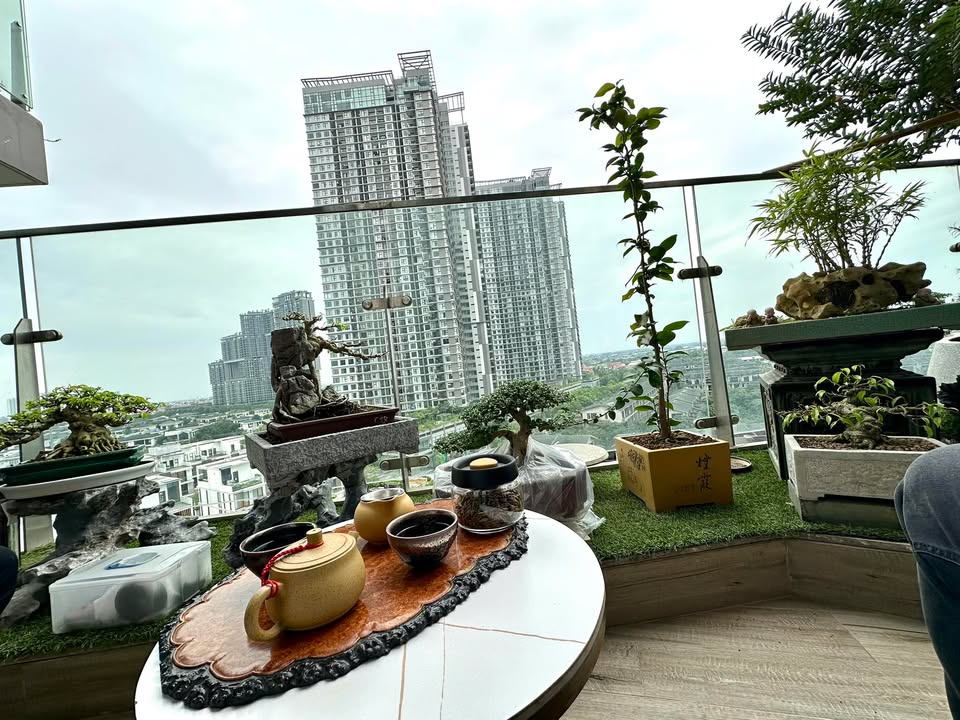 Căn hộ Solforest Ecopark 63m² giá 4 tỷ - Hướng mát, đầy đủ nội thất!