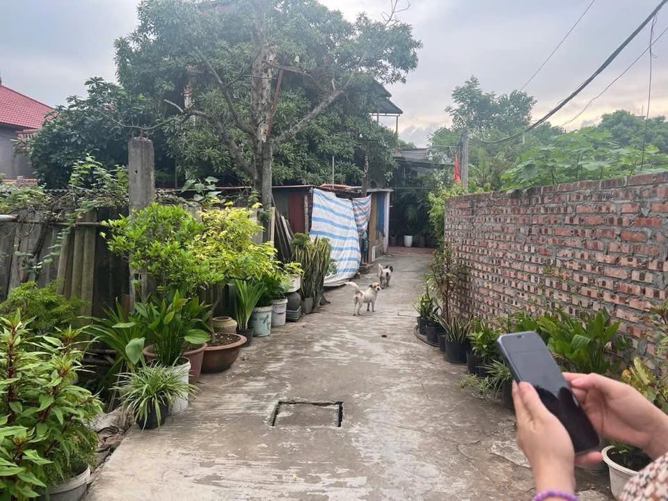 Đất nền Thôn Đông Phù Lỗ, Sóc Sơn 68m² giá 2 tỷ - Cơ hội đầu tư tuyệt vời!