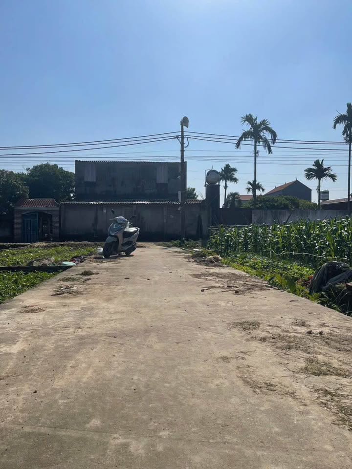 Đất thổ cư Quang Tiến, Sóc Sơn 48m² giá 1 tỷ - Cần bán gấp chính chủ!