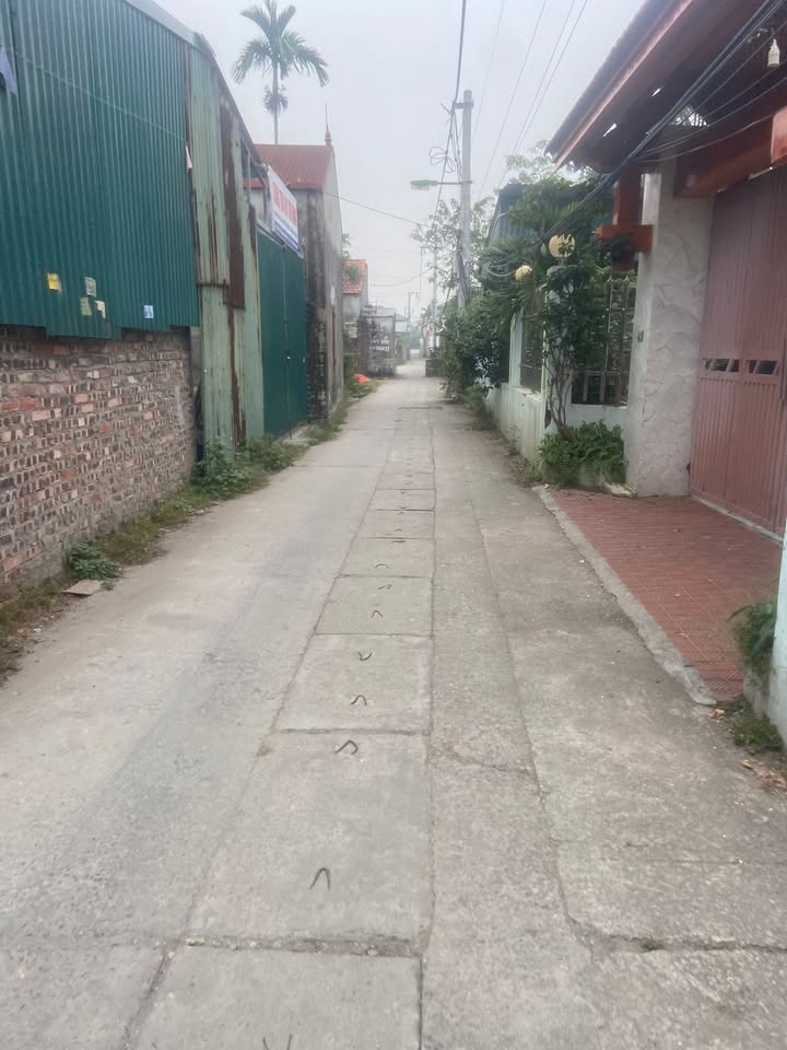 Đất Vạn Phúc, Thanh Trì 50m² giá chỉ 3.x - Đầu tư sinh lời ngay!