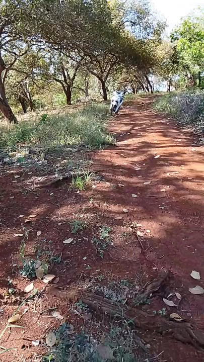 Đất nông nghiệp Phú Trung Đồng Nai 2.7ha giá 3.3 tỷ - Cơ hội đầu tư hấp dẫn!