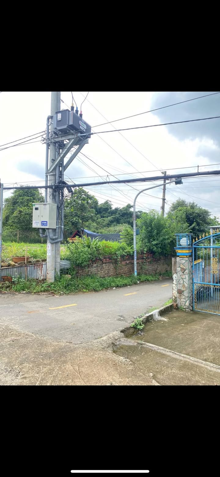 Đất nền Dầu Giây 100m² giá 780 triệu - Đầu tư sinh lời ngay!