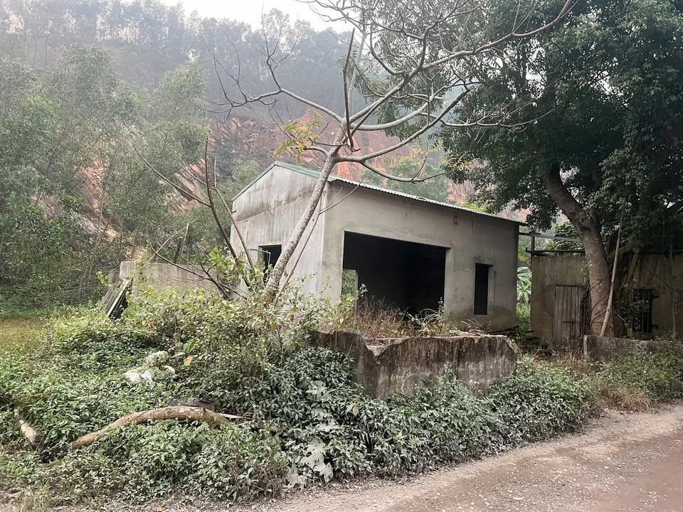 Đất thổ cư thôn Gia Lương, xã Triệu Lộc 200m² - Giá tốt, sổ đỏ chính chủ!