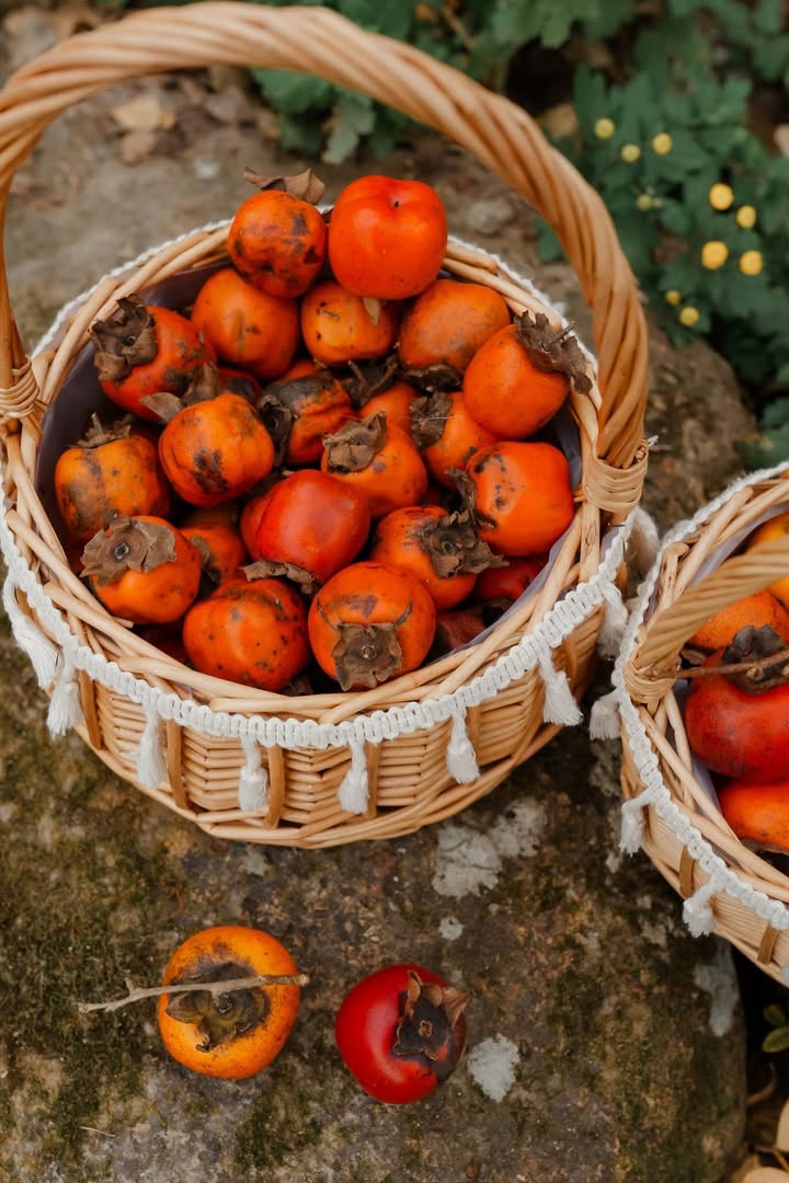 Đất nền Vân Sơn Mộc Châu 2550m² giá 2.5 tỷ - Pháp lý rõ ràng, đầu tư sinh lời!