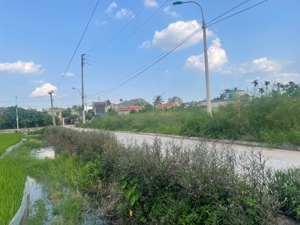 Đất đấu giá V12, phường Hoàng Quế, 200m² giá 1.9 tỷ - Pháp lý chuẩn, giao dịch ngay!