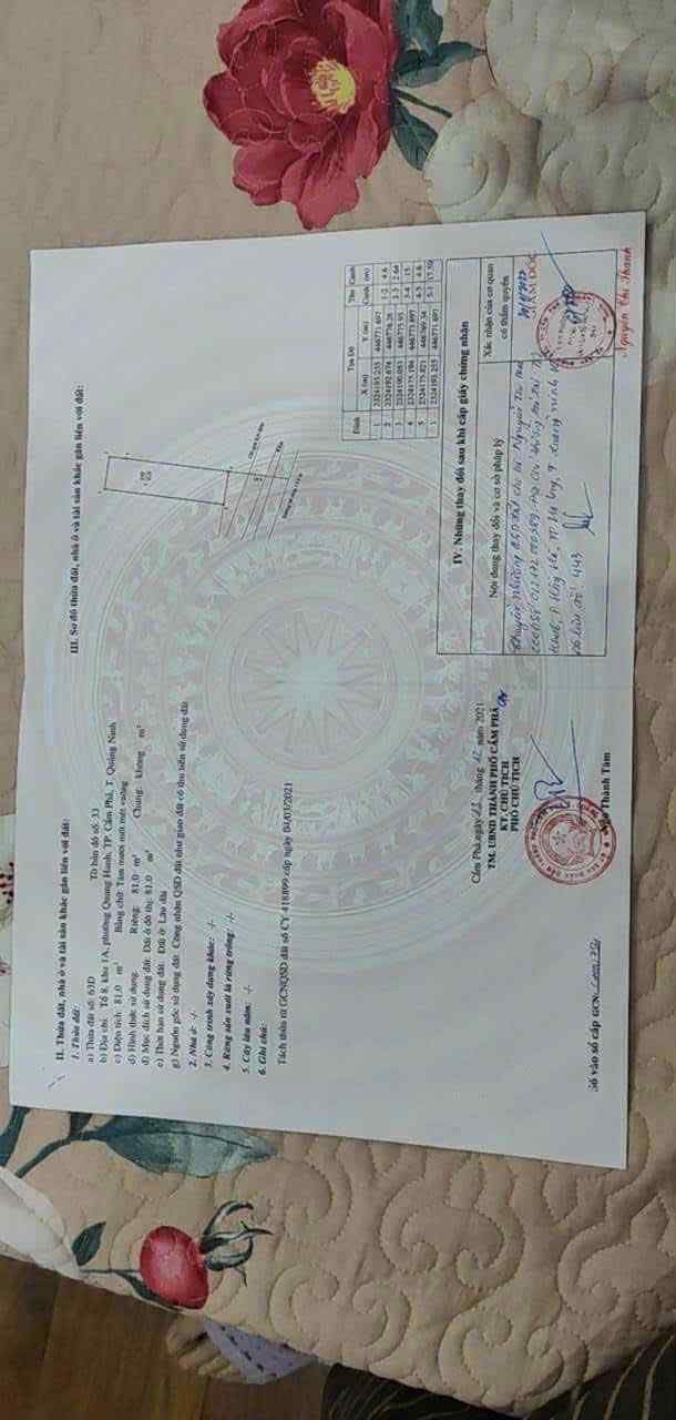 Đất nền Cẩm Phả 81m² giá 1.25 tỷ - Cắt lỗ nhanh!