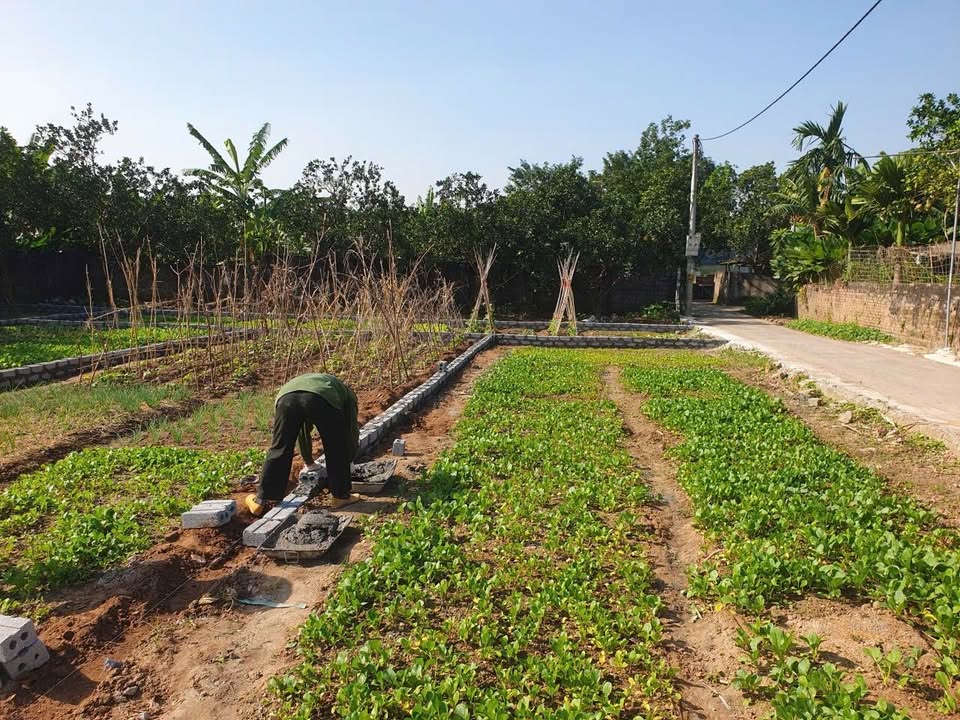 Đất nền Hồng Thái, Phú Xuyên 100m² giá 2 tỷ - Lô góc đẹp, cơ hội đầu tư!